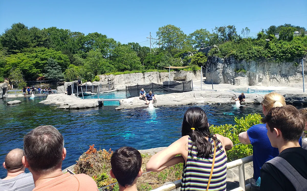 Mystic Aquarium